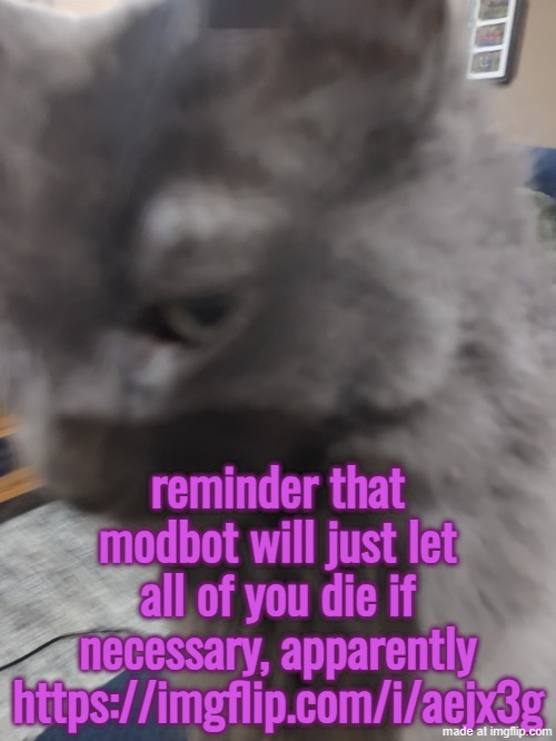 32's Cat | reminder that modbot will just let all of you die if necessary, apparently
https://imgflip.com/i/aejx3g | image tagged in 32's cat | made w/ Imgflip meme maker
