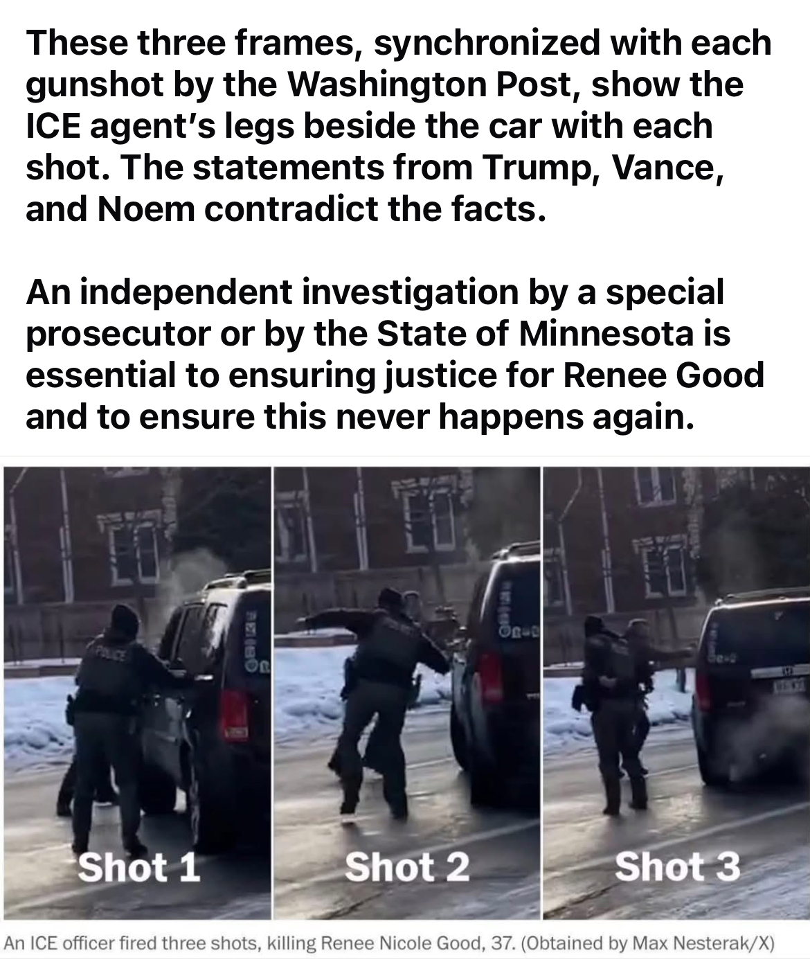 Jonathan Ross murdering Renee Good-3 shots Blank Meme Template