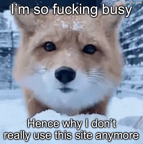 :3 | I’m so fucking busy; Hence why I don’t really use this site anymore | image tagged in foxbruh | made w/ Imgflip meme maker