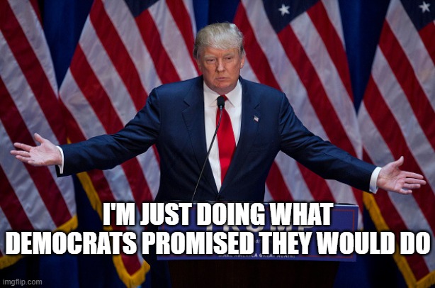 Donald Trump | I'M JUST DOING WHAT DEMOCRATS PROMISED THEY WOULD DO | image tagged in donald trump | made w/ Imgflip meme maker