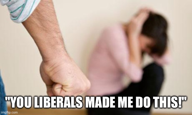 Domestic Abuse | "YOU LIBERALS MADE ME DO THIS!" | image tagged in domestic abuse | made w/ Imgflip meme maker