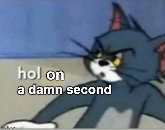 Hol on a damn second Tom | image tagged in hol on a damn second tom | made w/ Imgflip meme maker