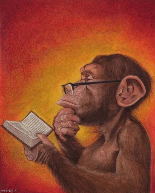 monkey with glasses reading | image tagged in monkey with glasses reading | made w/ Imgflip meme maker