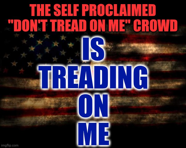 Conservative Hypocrisy Is Astounding Really | THE SELF PROCLAIMED "DON'T TREAD ON ME" CROWD; IS
TREADING
ON
ME | image tagged in usa flag,conservative hypocrisy,impeach trump,lock him up,trump unfit unqualified dangerous,don't tread on me | made w/ Imgflip meme maker
