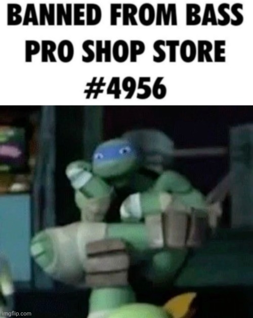 personally I like Donnie and Mikey but eh | made w/ Imgflip meme maker