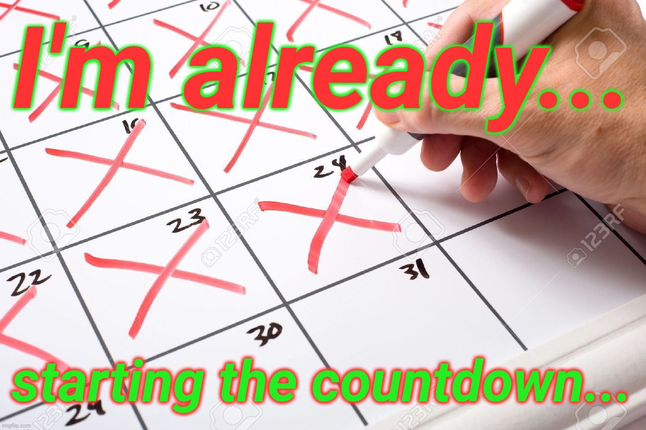 I'm already... starting the countdown... | image tagged in calendar | made w/ Imgflip meme maker
