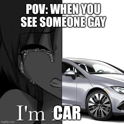 I'm fi | POV: WHEN YOU SEE SOMEONE GAY; CAR | image tagged in i'm fi | made w/ Imgflip meme maker