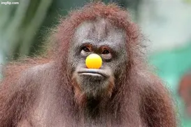 highly sexual image do not watch PART 3 | made w/ Imgflip meme maker