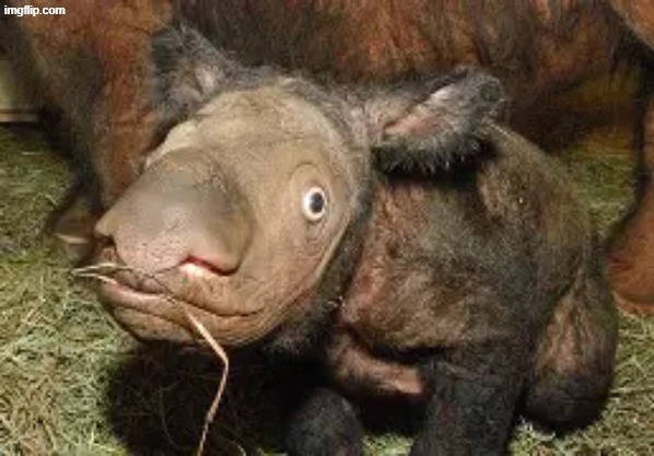 highly sexual image do not watch PART 4 | made w/ Imgflip meme maker