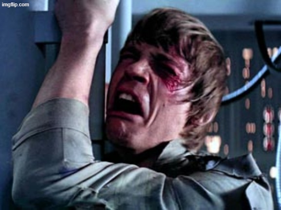 Luke Skywalker Noooo | image tagged in luke skywalker noooo | made w/ Imgflip meme maker