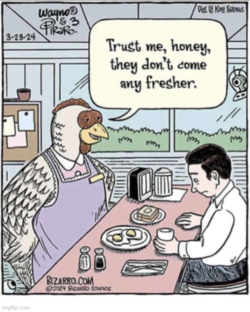 Bizarro Comics | image tagged in comics,bizarro comics,diner,hen,fresh eggs,waitress | made w/ Imgflip meme maker