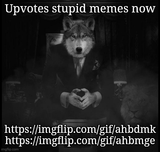 Wolf on a chair | Upvotes stupid memes now; https://imgflip.com/gif/ahbdmk
https://imgflip.com/gif/ahbmge | image tagged in wolf on a chair | made w/ Imgflip meme maker