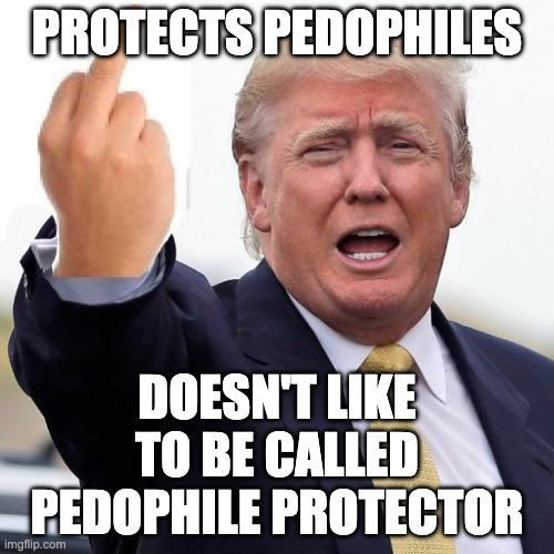 Pedophile Protector in Chief | PROTECTS PEDOPHILES; DOESN'T LIKE TO BE CALLED PEDOPHILE PROTECTOR | image tagged in donald trump middle finger,criticism,vulnerable ego | made w/ Imgflip meme maker
