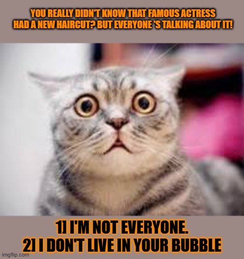 This #lolcat wonders why some hoo-mens assume we all have the same information | YOU REALLY DIDN'T KNOW THAT FAMOUS ACTRESS HAD A NEW HAIRCUT? BUT EVERYONE 'S TALKING ABOUT IT! 1] I'M NOT EVERYONE.
2] I DON'T LIVE IN YOUR BUBBLE | image tagged in humans,lolcat,information,bubble | made w/ Imgflip meme maker