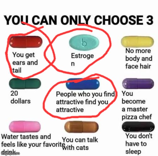 I have a plan /j | image tagged in you can only choose 3 | made w/ Imgflip meme maker