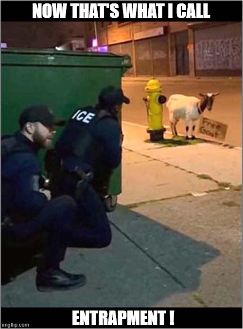 Sneaky New Tatics Were Needed ! | NOW THAT'S WHAT I CALL; ENTRAPMENT ! | image tagged in sneaky,tactics,ice,goat,entrapment | made w/ Imgflip meme maker