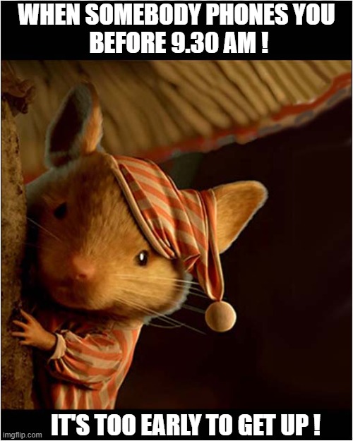 I Thought Retirement Was Supposed To Be Relaxing ? | WHEN SOMEBODY PHONES YOU
 BEFORE 9.30 AM ! IT'S TOO EARLY TO GET UP ! | image tagged in retirement,phone call,too early | made w/ Imgflip meme maker