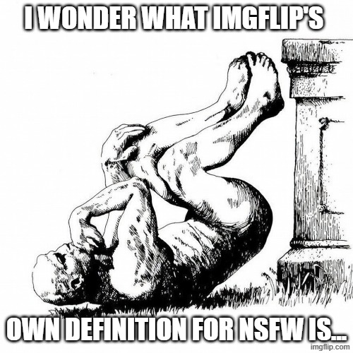 So my "NSFW" meme (which was tagged as NSFW) was remove for violation....what? | I WONDER WHAT IMGFLIP'S; OWN DEFINITION FOR NSFW IS... | image tagged in imgflip,no logic,inequality | made w/ Imgflip meme maker