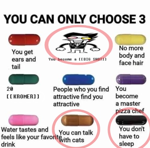 Mods, Your welcome :3 | image tagged in you can only choose 3 deltarune | made w/ Imgflip meme maker