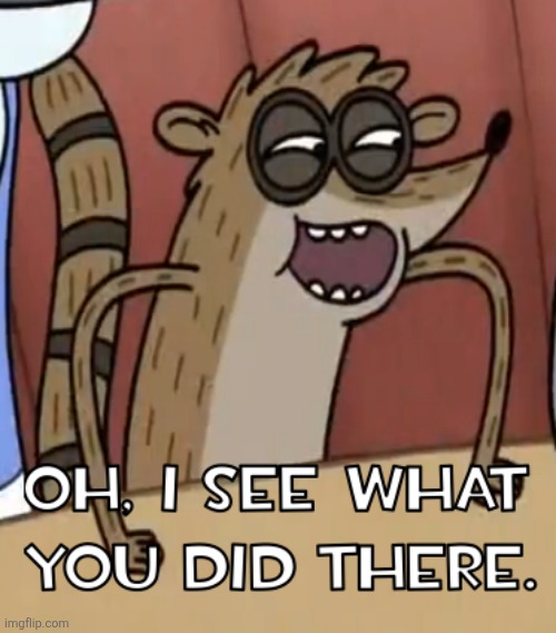 Regular Show Rigby I see what you did there | image tagged in regular show rigby i see what you did there | made w/ Imgflip meme maker