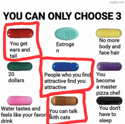 why would I not want ears and a tail | image tagged in you can only choose 3 | made w/ Imgflip meme maker