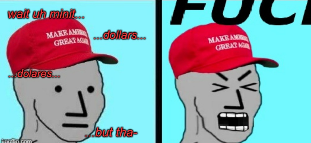 wait uh minit... ...dollars... ...dolares... ...but tha- | image tagged in single black line,maga npc scream | made w/ Imgflip meme maker
