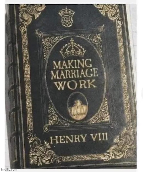 Queen Anne was not amused | image tagged in henry the eighth marriage meme | made w/ Imgflip meme maker