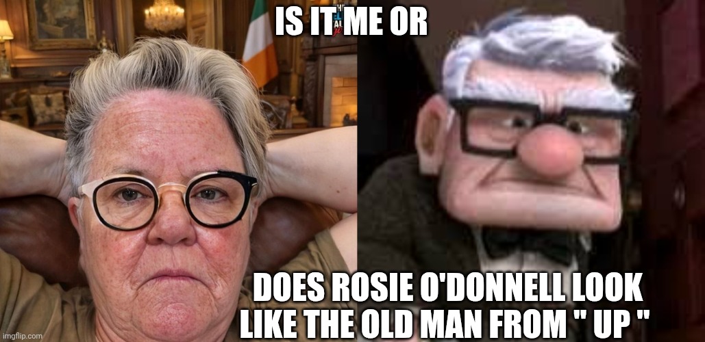 Rosie O'Donnell meme | IS IT ME OR; DOES ROSIE O'DONNELL LOOK LIKE THE OLD MAN FROM " UP " | image tagged in rosie o'donnell | made w/ Imgflip meme maker