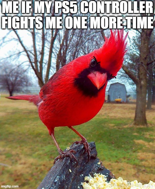Not having it anymore i will save up enough money to buy a new ps5 controller | ME IF MY PS5 CONTROLLER
FIGHTS ME ONE MORE TIME | image tagged in angry bird,memes,gaming,ps5,controller,savage memes | made w/ Imgflip meme maker