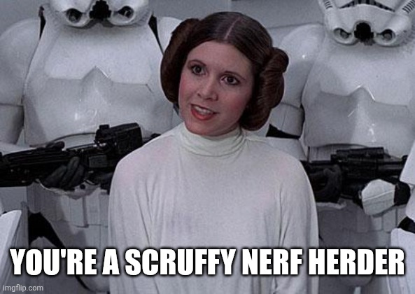 Princess Leia | YOU'RE A SCRUFFY NERF HERDER | image tagged in princess leia | made w/ Imgflip meme maker