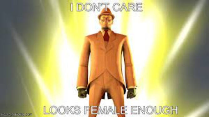 looks female enough | image tagged in looks female enough | made w/ Imgflip meme maker