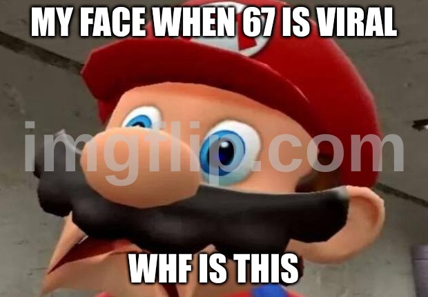 smg4 | MY FACE WHEN 67 IS VIRAL; WHF IS THIS | image tagged in mario wtf,smg4 | made w/ Imgflip meme maker