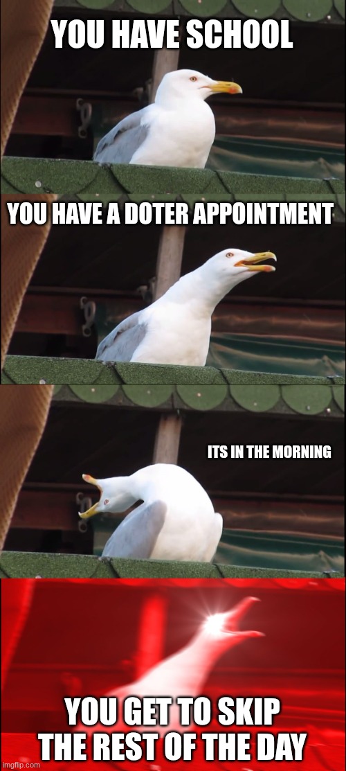 school | YOU HAVE SCHOOL; YOU HAVE A DOTER APPOINTMENT; ITS IN THE MORNING; YOU GET TO SKIP THE REST OF THE DAY | image tagged in memes,inhaling seagull | made w/ Imgflip meme maker