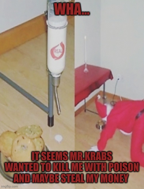 Santa checking under the table | WHA... IT SEEMS MR.KRABS WANTED TO KILL ME WITH POISON AND MAYBE STEAL MY MONEY | image tagged in santa checking under the table | made w/ Imgflip meme maker