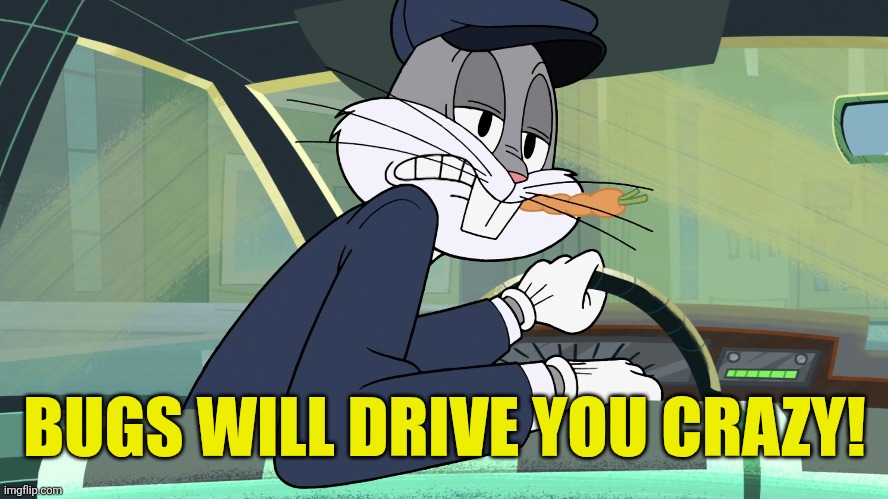 BUGS WILL DRIVE YOU CRAZY! | made w/ Imgflip meme maker