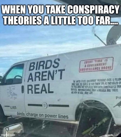 Spies in the skies | WHEN YOU TAKE CONSPIRACY THEORIES A LITTLE TOO FAR.... | image tagged in conspiracy theories,birds,not real,robot,government,spies | made w/ Imgflip meme maker