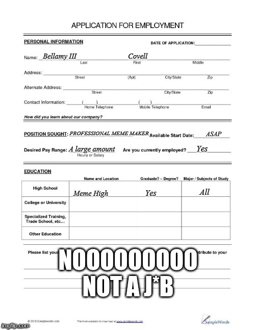 Meme Job Application | NOOOOOOOOO
NOT A J*B | image tagged in meme job application | made w/ Imgflip meme maker