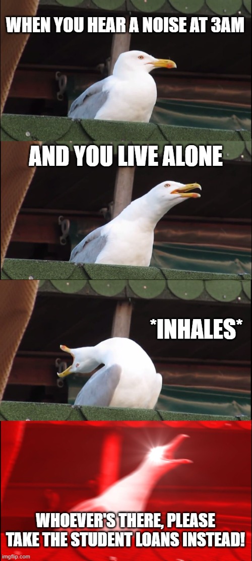 3am | WHEN YOU HEAR A NOISE AT 3AM; AND YOU LIVE ALONE; *INHALES*; WHOEVER'S THERE, PLEASE TAKE THE STUDENT LOANS INSTEAD! | image tagged in memes,inhaling seagull | made w/ Imgflip meme maker