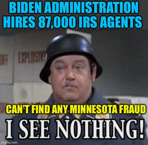 Democrat Fraud is National | BIDEN ADMINISTRATION HIRES 87,000 IRS AGENTS; CAN’T FIND ANY MINNESOTA FRAUD | image tagged in i see nothing,democratic socialism,fraud,government corruption,minnesota | made w/ Imgflip meme maker