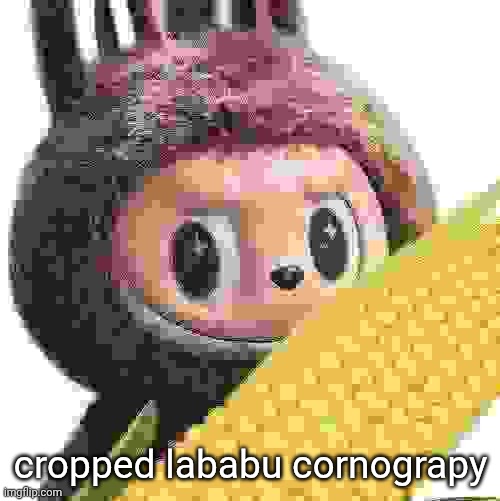 cropped lababu cornograpy | made w/ Imgflip meme maker
