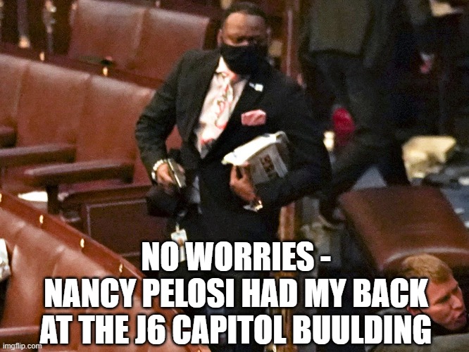 NO WORRIES -
NANCY PELOSI HAD MY BACK
AT THE J6 CAPITOL BUULDING | made w/ Imgflip meme maker