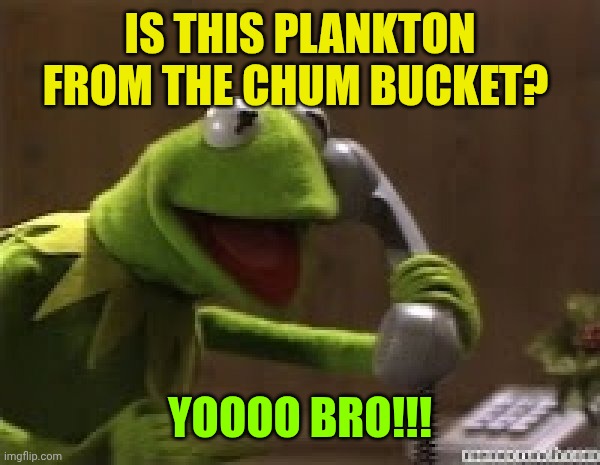 Kermit The Frog At Phone | IS THIS PLANKTON FROM THE CHUM BUCKET? YOOOO BRO!!! | image tagged in kermit the frog at phone | made w/ Imgflip meme maker
