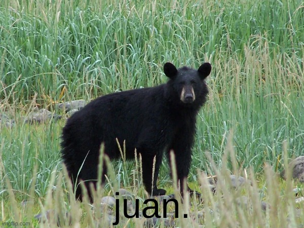 juan the second | juan. | image tagged in shitpost | made w/ Imgflip meme maker