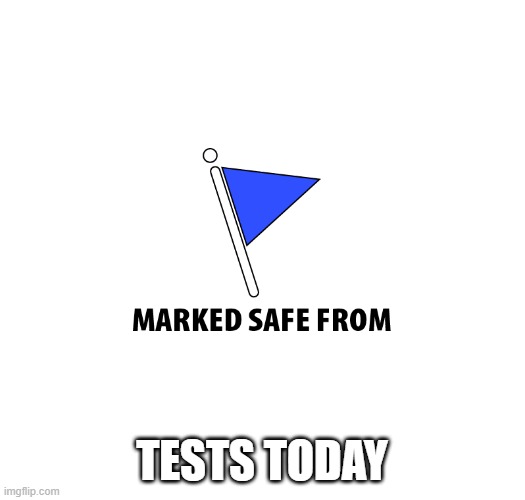 Marked safe | TESTS TODAY | image tagged in marked safe | made w/ Imgflip meme maker
