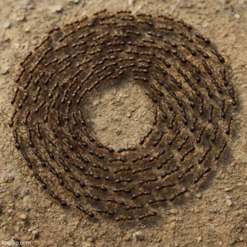 Do you remember? | image tagged in where,you,were,going | made w/ Imgflip meme maker