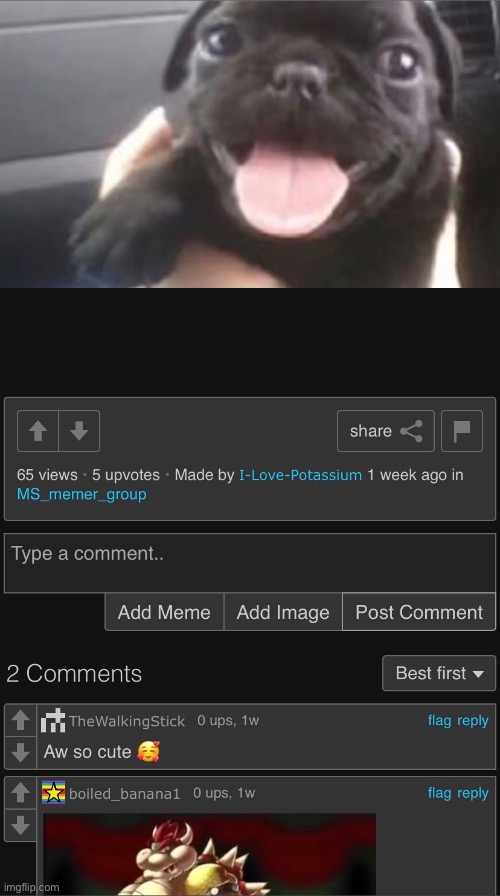 made w/ Imgflip meme maker