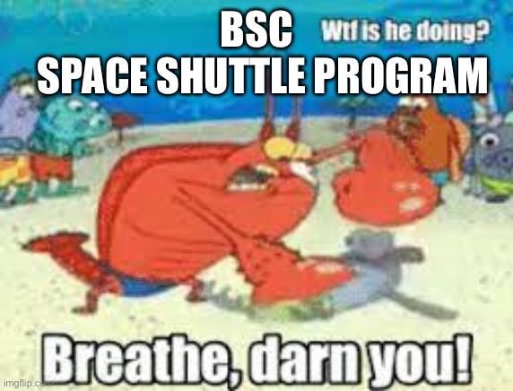 BREATHE DARN YOU | SPACE SHUTTLE PROGRAM; BSC | image tagged in breathe darn you | made w/ Imgflip meme maker