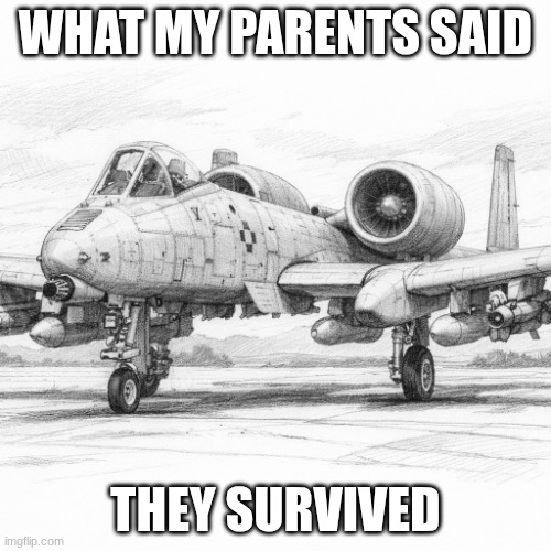 A-10 warthog | WHAT MY PARENTS SAID; THEY SURVIVED | image tagged in a-10 warthog | made w/ Imgflip meme maker