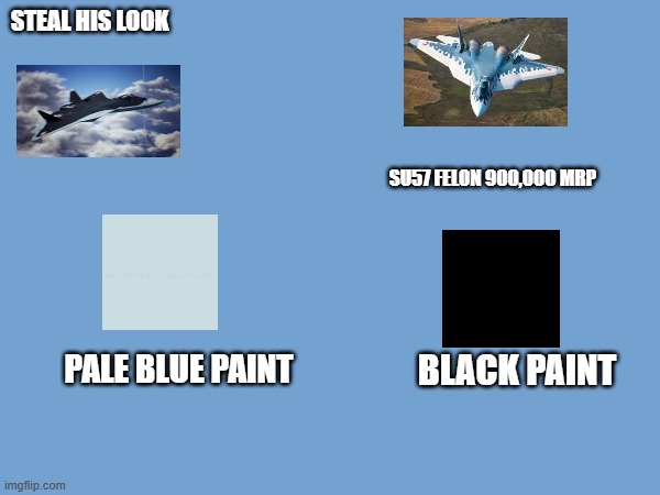 identity theft | STEAL HIS LOOK; SU57 FELON 900,000 MRP; PALE BLUE PAINT; BLACK PAINT | image tagged in planes,video games,acecombat | made w/ Imgflip meme maker