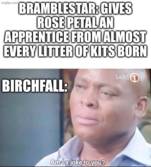 why does rosepetal get all the apprentices | BRAMBLESTAR: GIVES ROSE PETAL AN APPRENTICE FROM ALMOST EVERY LITTER OF KITS BORN; BIRCHFALL: | image tagged in am i a joke to you,warriors,warrior cats,memes,why are you reading the tags | made w/ Imgflip meme maker